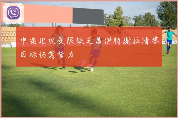 申花进攻受限缺乏盖伊特谢拉清零目标仍需努力